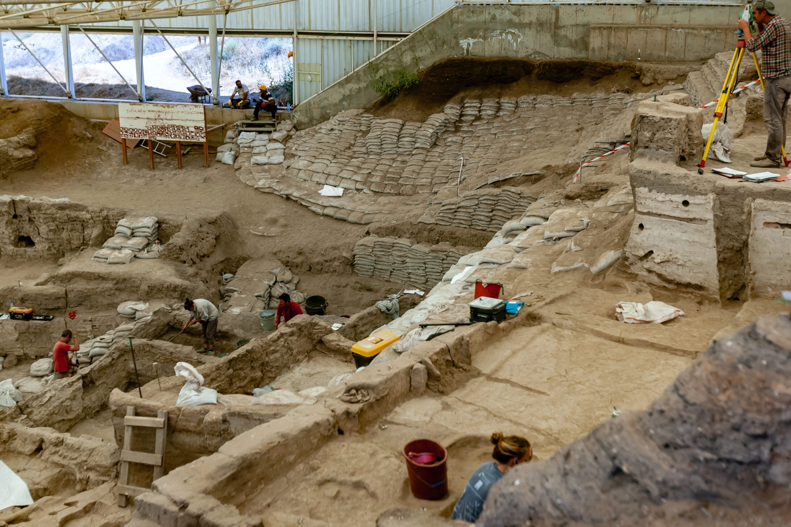 Organización, profesionalización y adaptación de servicios a una empresa de gestión de patrimonio cultural y arqueología